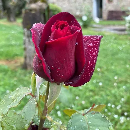 Casale Di Villore *